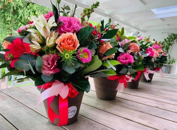 Terracotta With A Seasonal Mix