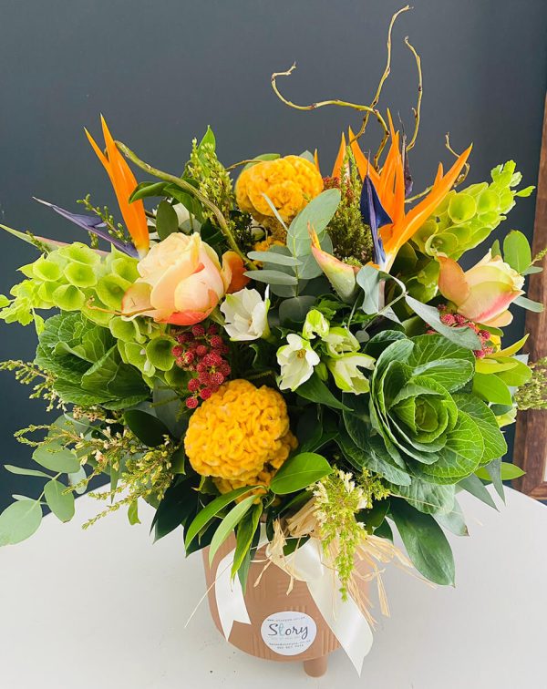 Colourful Arrangement